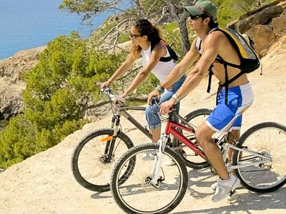 Camping de la Treille - Nie.