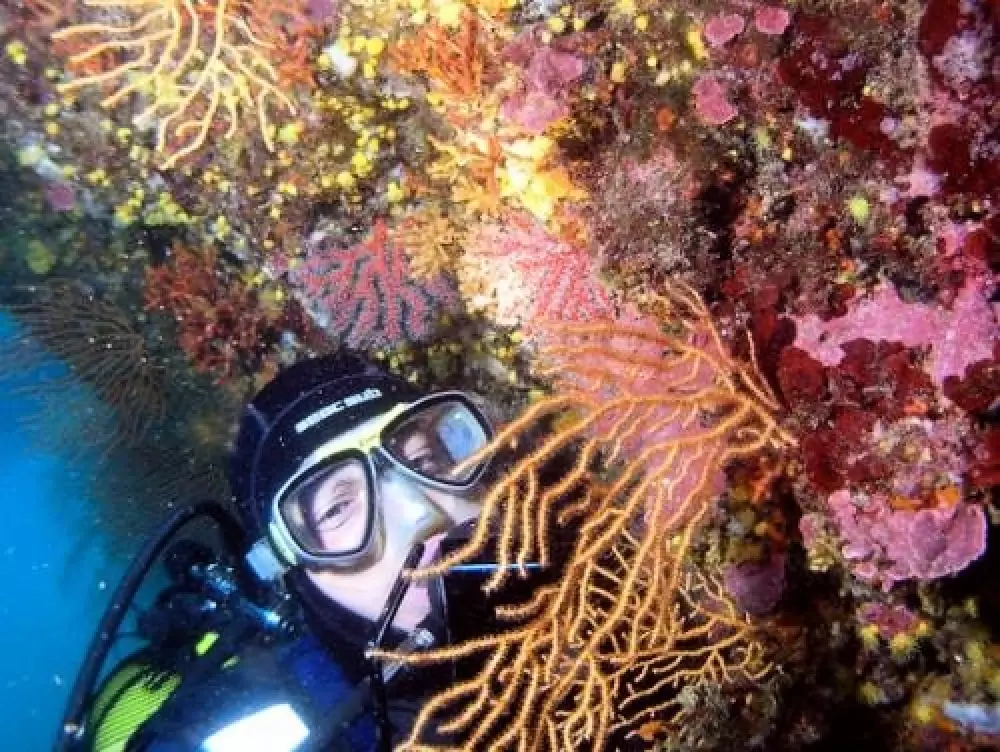 Camping de la Treille - Nie.