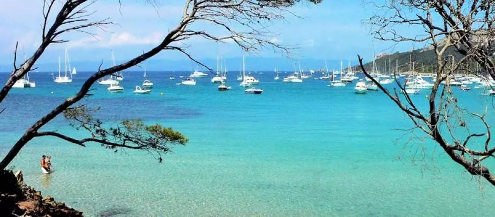 Camping de la Treille - Nie.