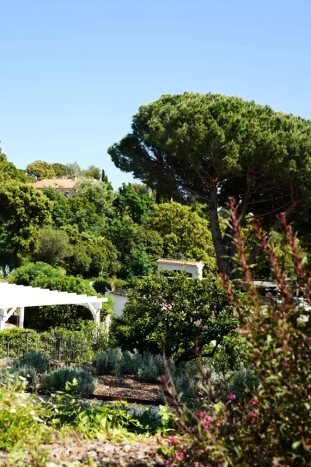 Hôtel du Parc 4 Stelle★★★★