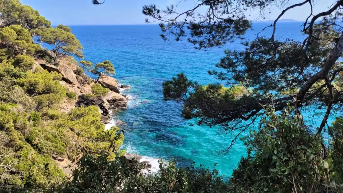 Résidence Ca000-196 kavalaire Sur Mer