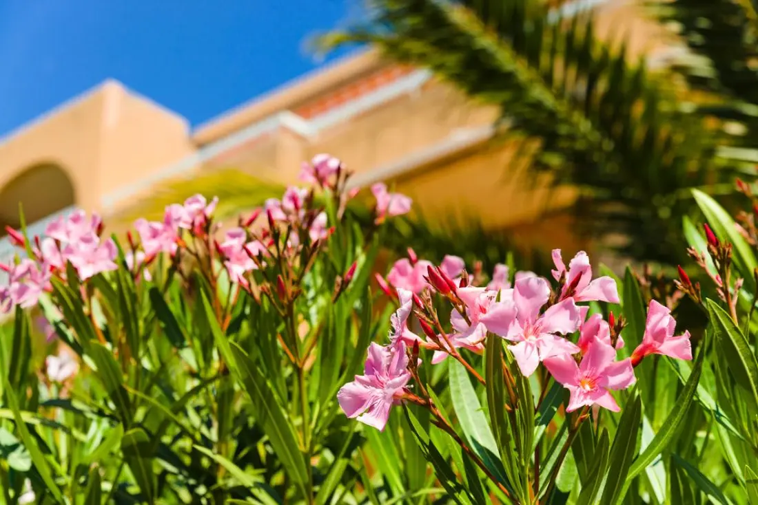 Résidence Lagrange Villa Barbara 2 étoiles★★