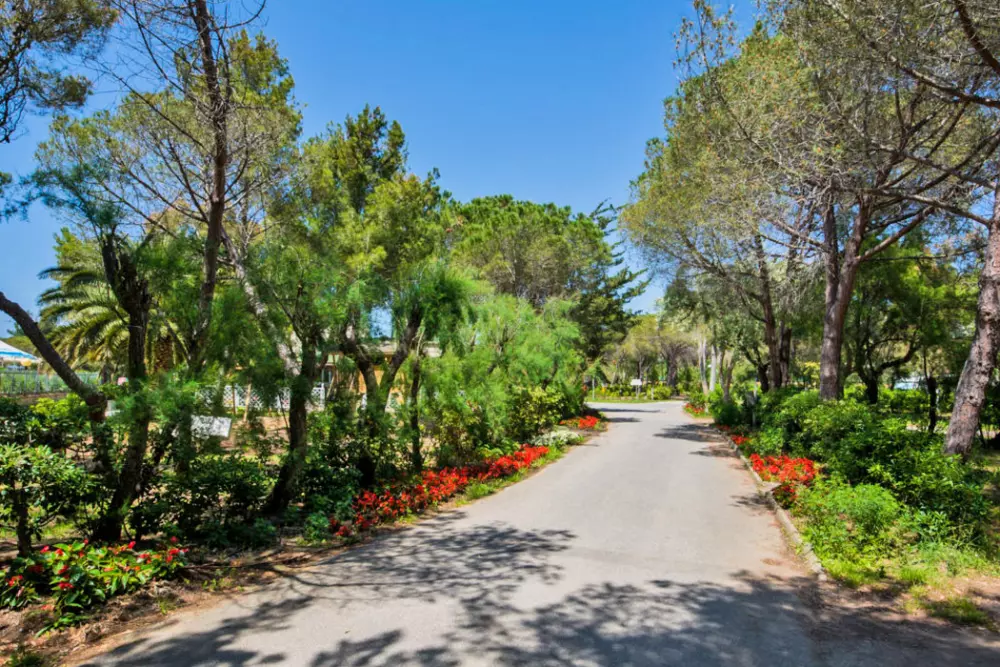 Campeggio Sandaya Toscana Bella