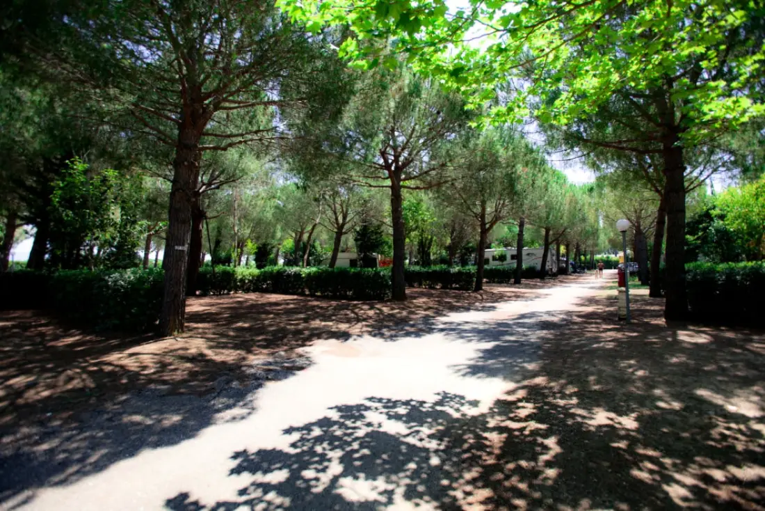 Club del Sole Le Gorette Cecina Easy Camping Village 4 Sterren★★★★