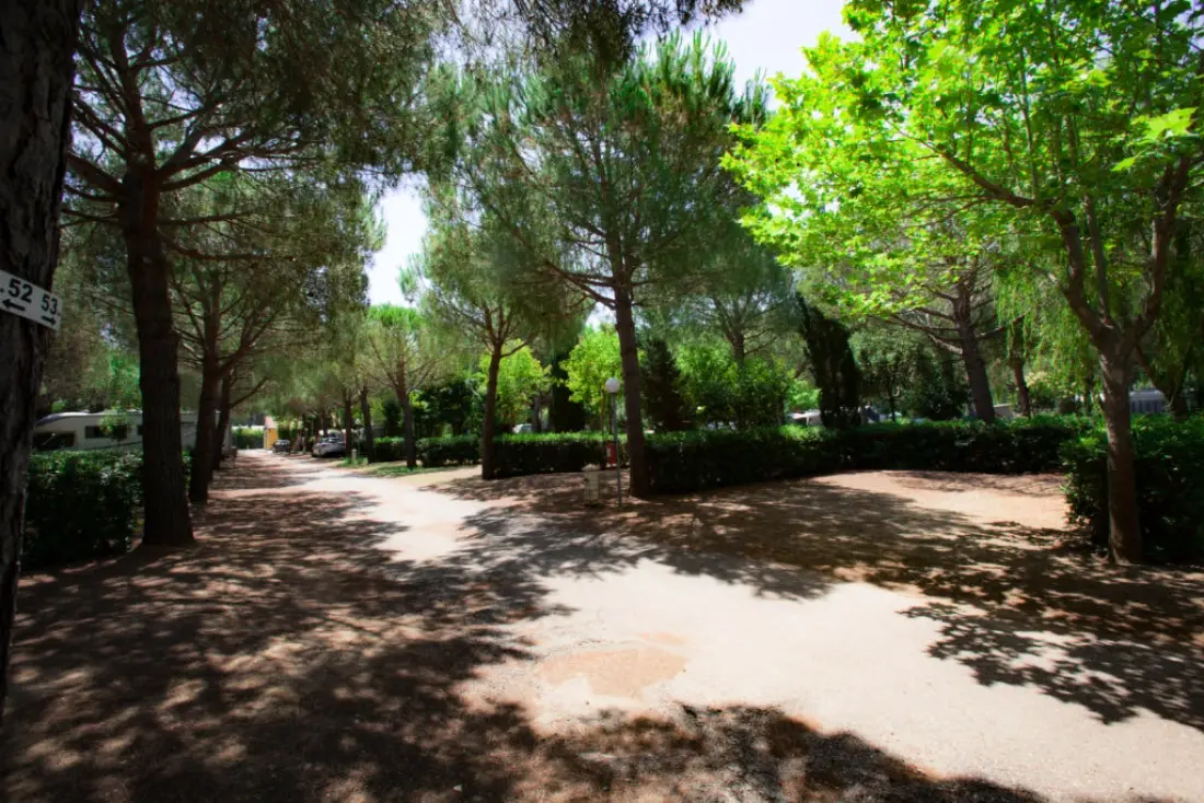 Club del Sole Le Gorette Cecina Easy Camping Village 4 Sterren★★★★