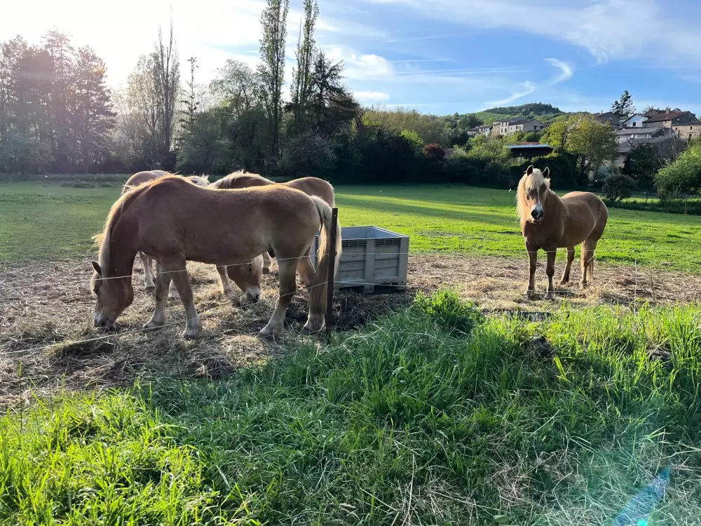 Camping Ushuaïa Villages des Sources3 étoiles★★★