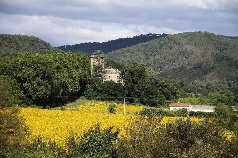 Campingplatz Sunêlia La Clementine 4 Sterne★★★★