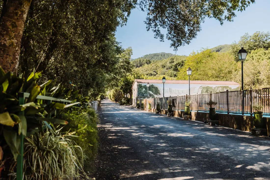 Campingplatz Sunêlia La Clementine 4 Sterne★★★★