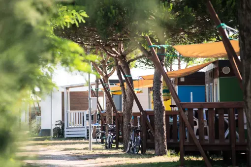 Cesenatico Camping Village photo 3