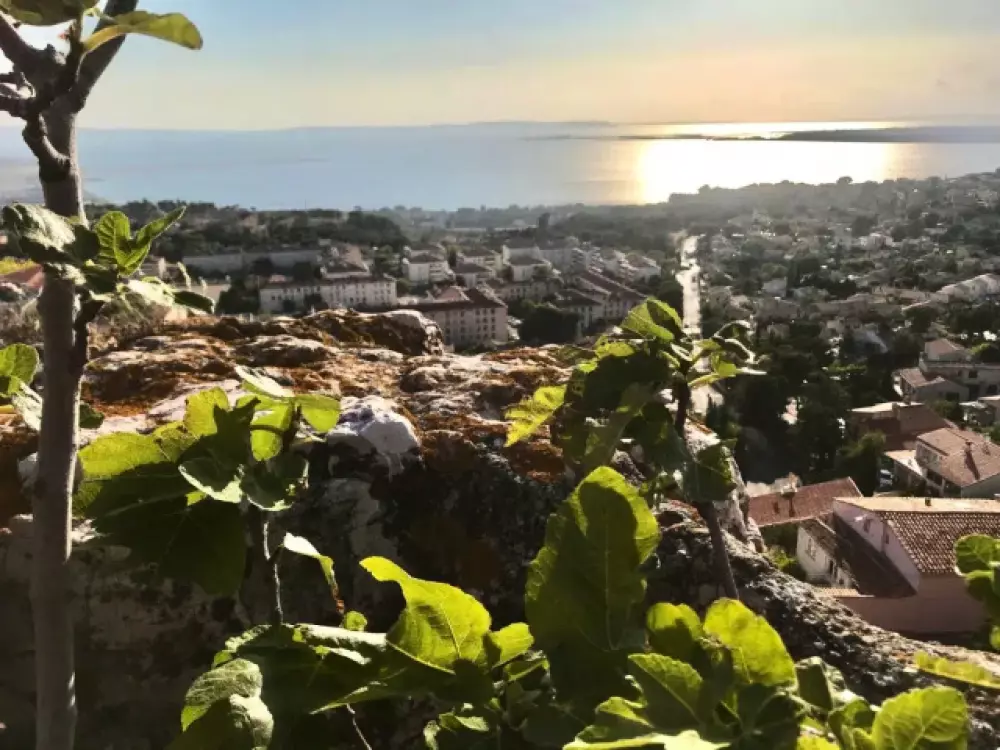 Camping de Ceyreste 4 Stars★★★★