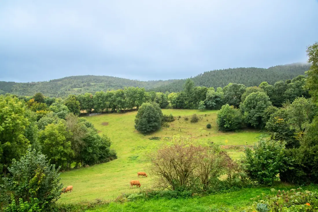 Gîte de France Gîte b les près 3 épis