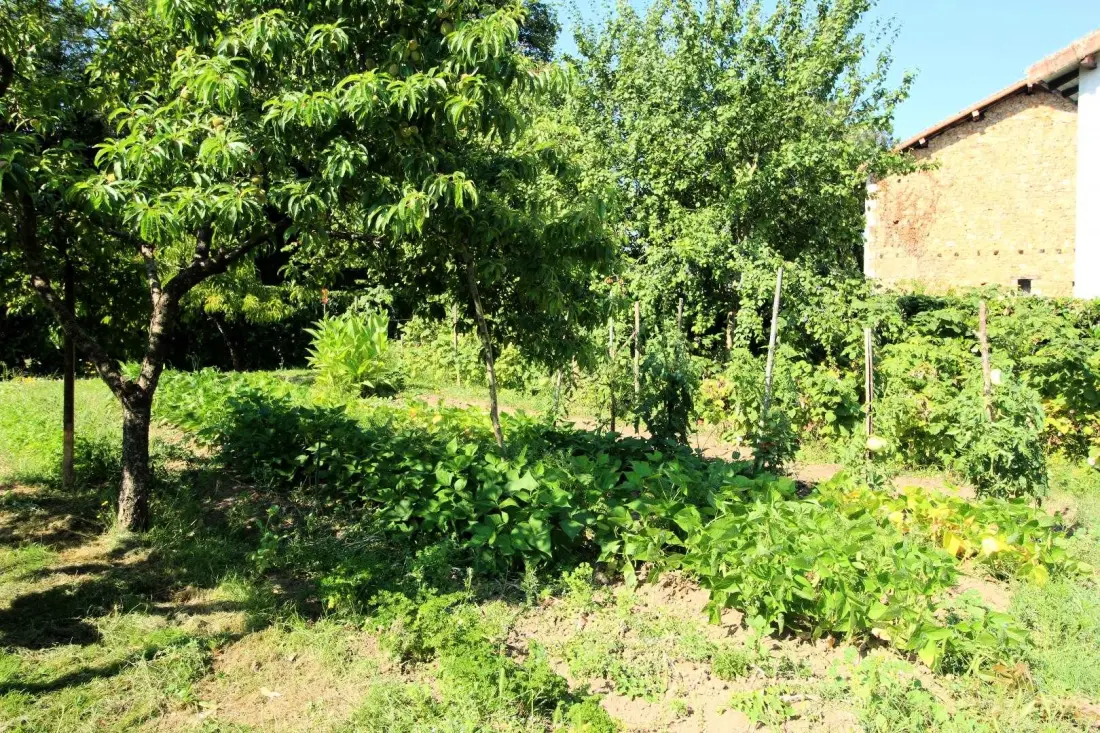 Gîte de France Het dorp 2 oren