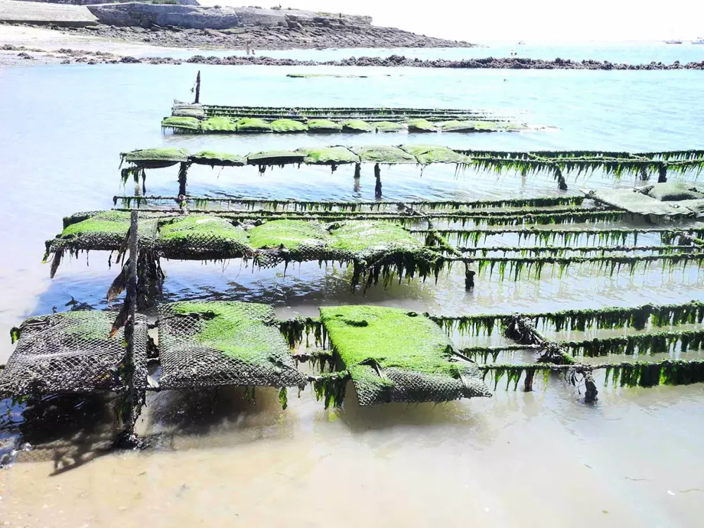 Camping L'Ile Cariot 3 étoiles★★★