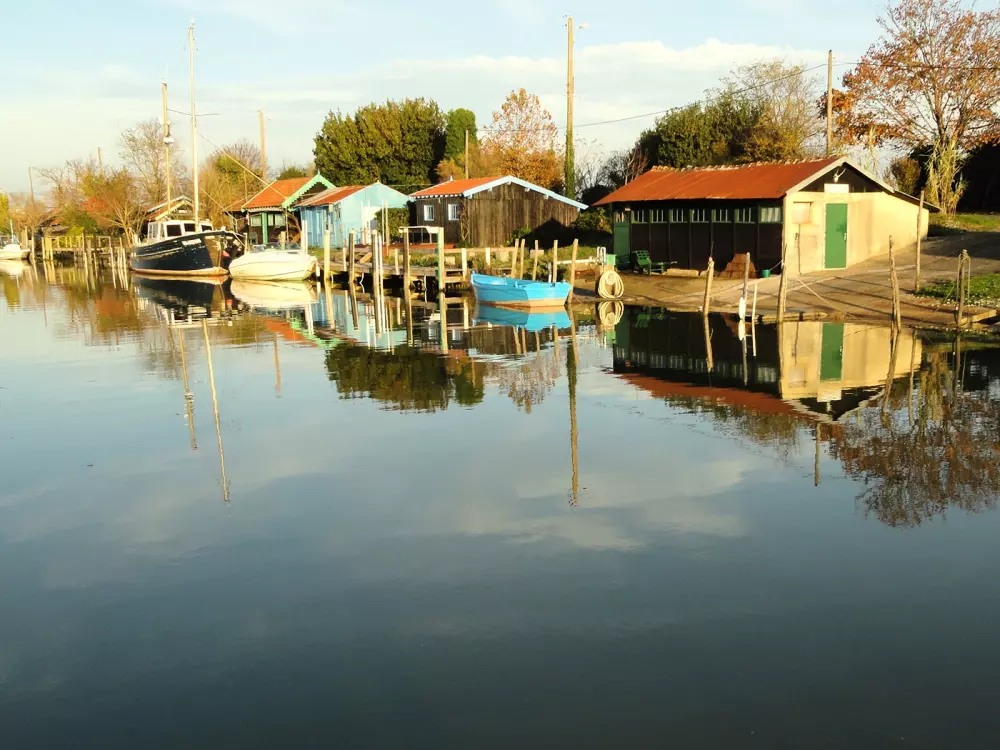 Camping L'Ile Cariot 3 étoiles★★★