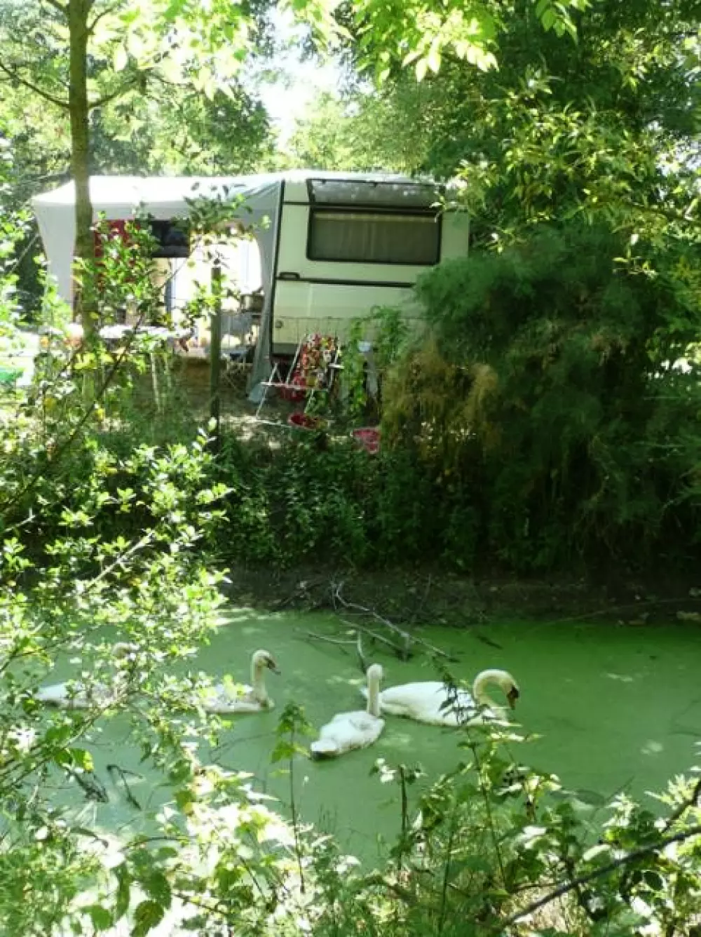 Camping L'Ile Cariot 3 étoiles★★★