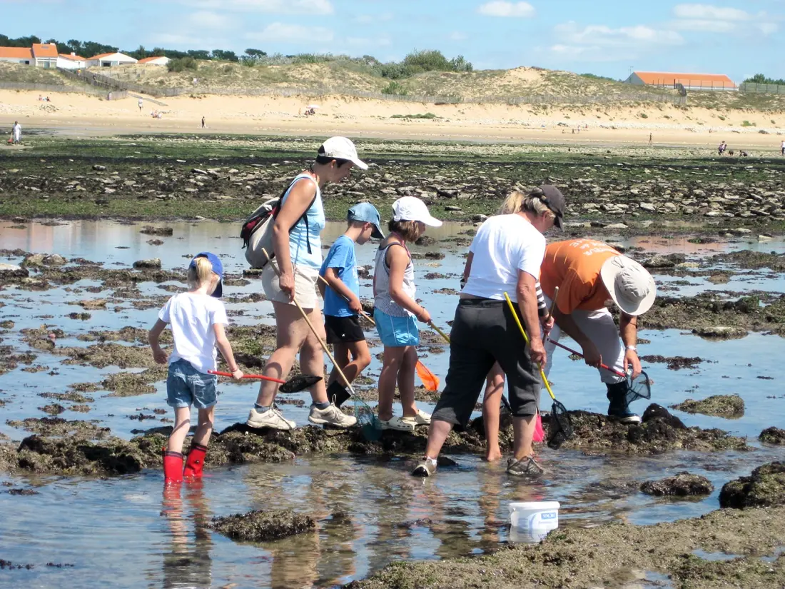 Camping L'Ile Cariot 3 Estrellas★★★