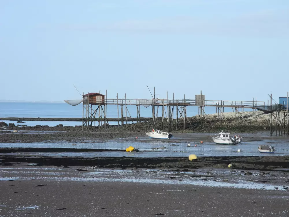 Camping L'Ile Cariot 3 étoiles★★★