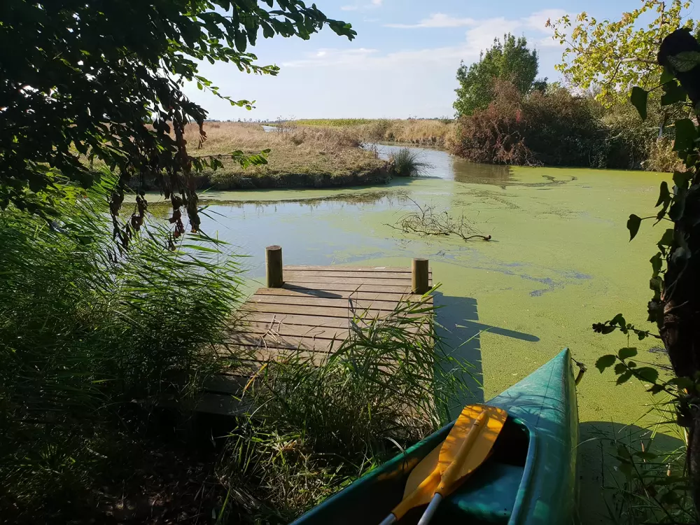 Camping L'Ile Cariot 3 étoiles★★★