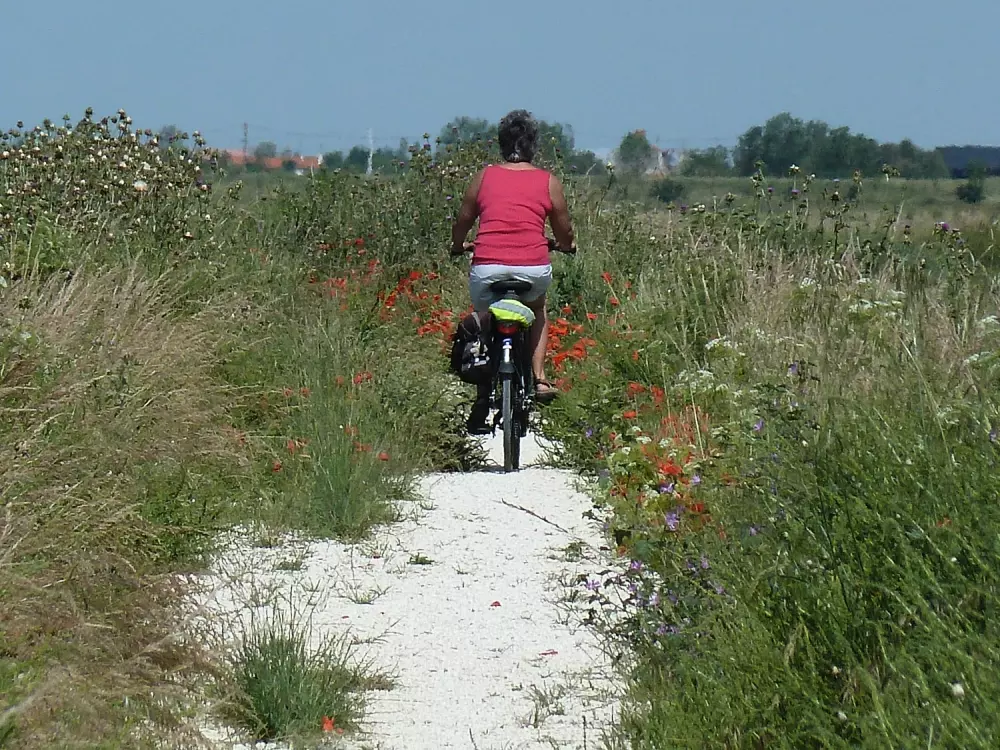 Camping L'Ile Cariot 3 étoiles★★★