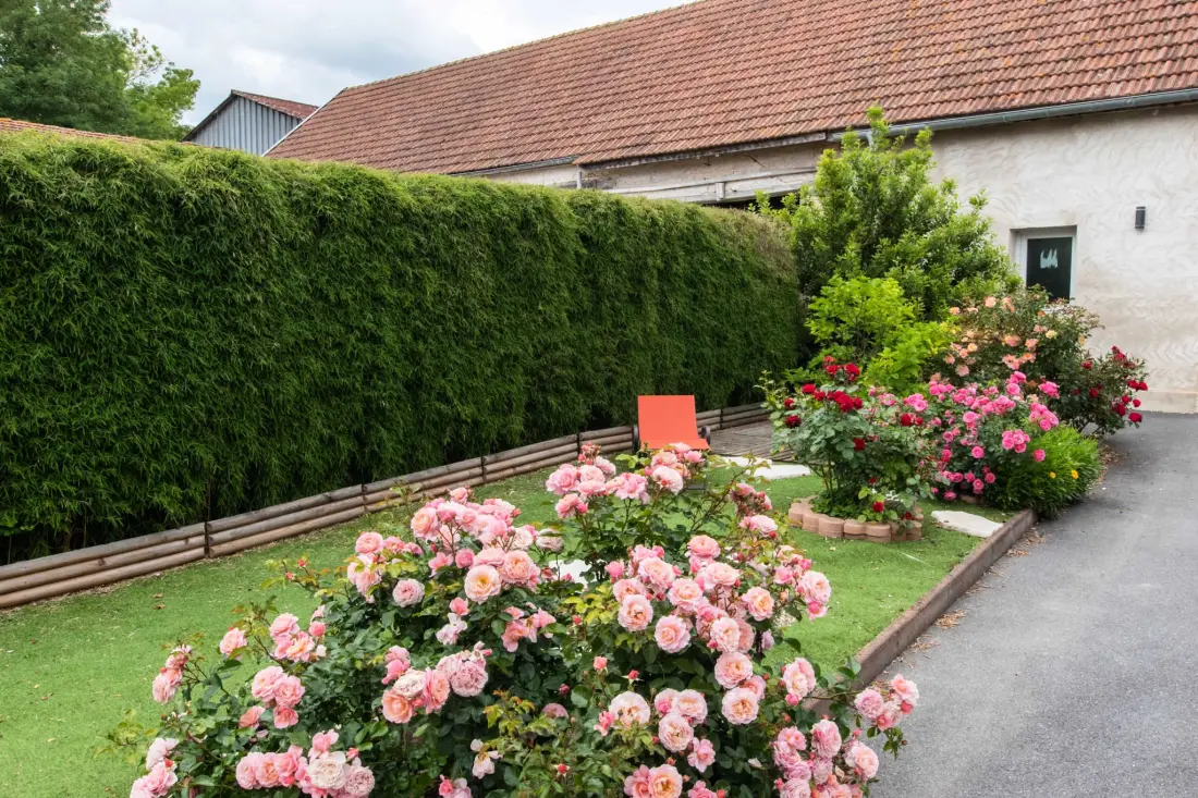 Gîte de France Zwischen Land und Reben 4 Ohren