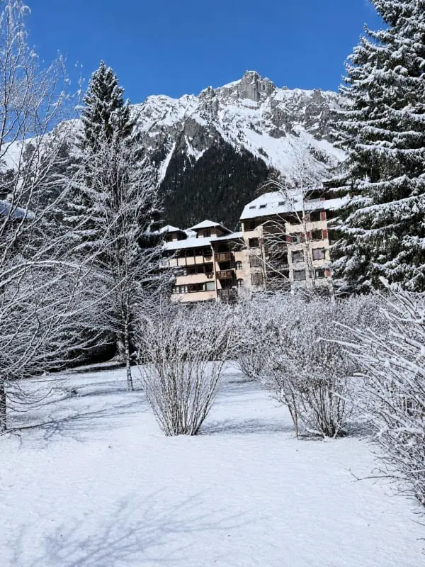 Studio with Full South Terrace és Mont-blanc View