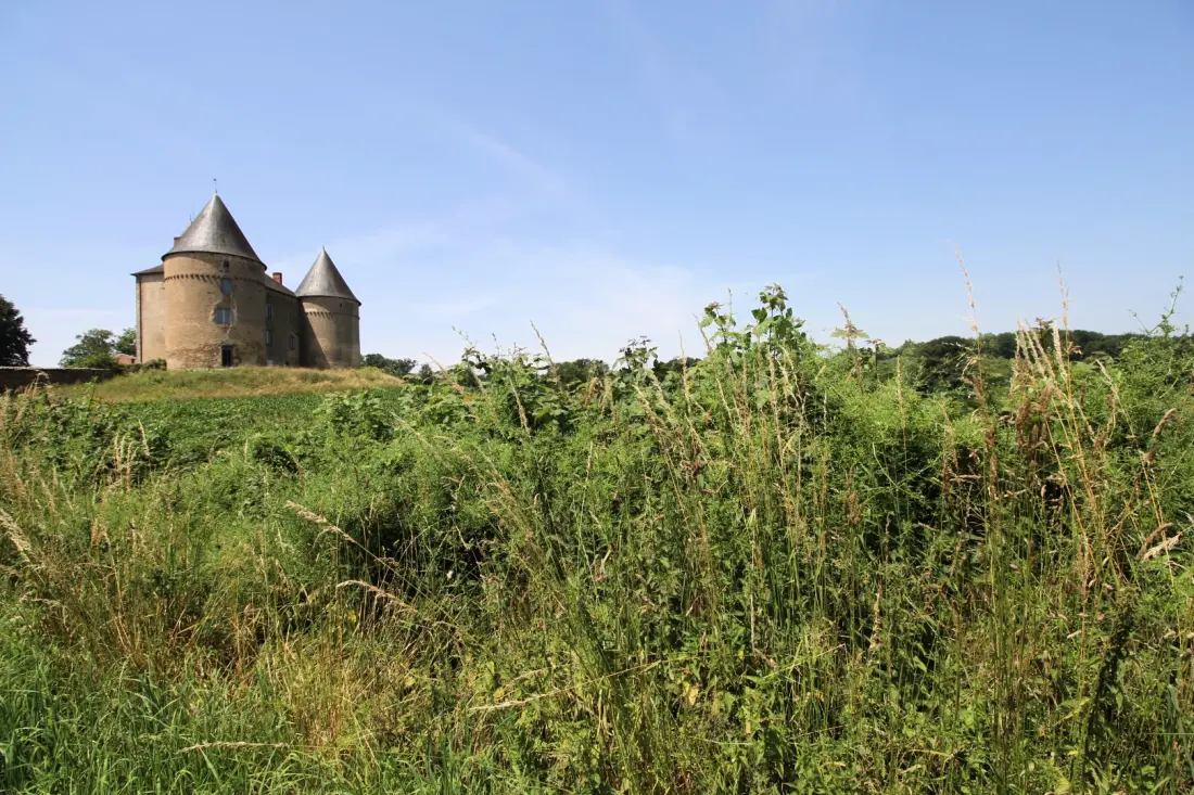 Gîte de France De flipper 4 oren