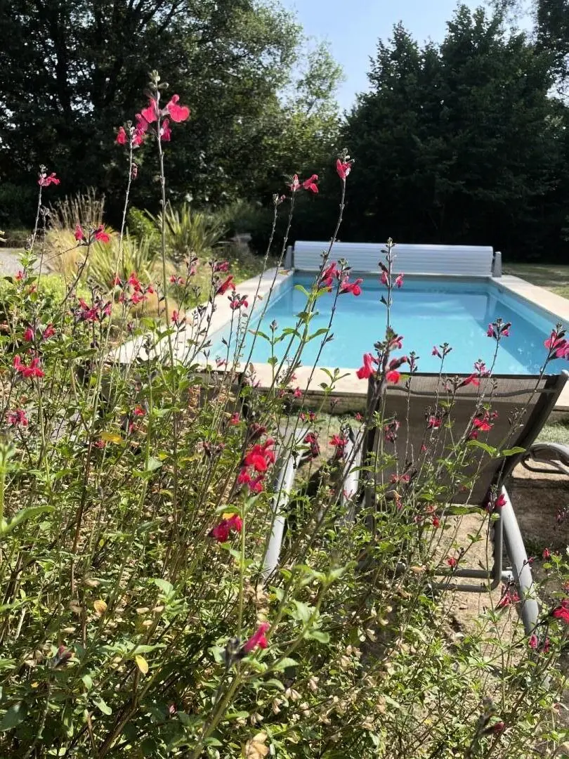 Gîte de France Het vogelstation 4 oren
