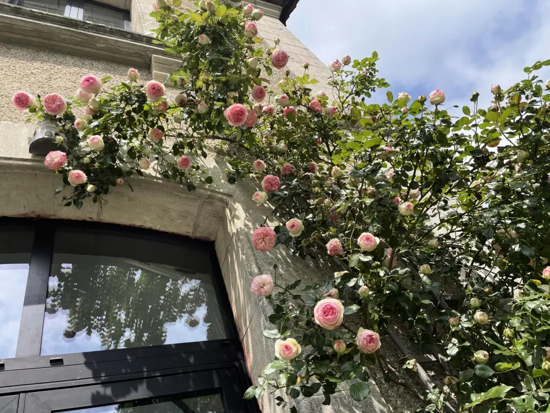 Gîte de France Het vogelstation 4 oren