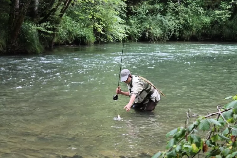 Camping en Boÿse 4 Estrellas★★★★