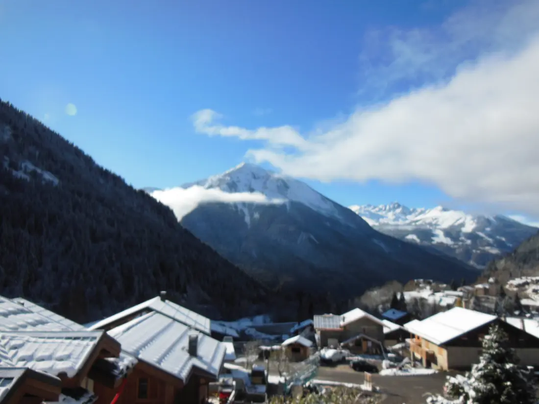 Fleur De Neige faház