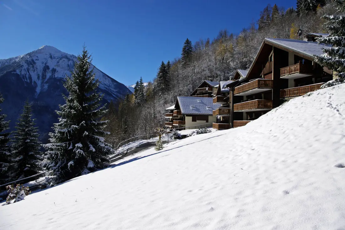 Residence Campanule - Les Hauts De Planchamp