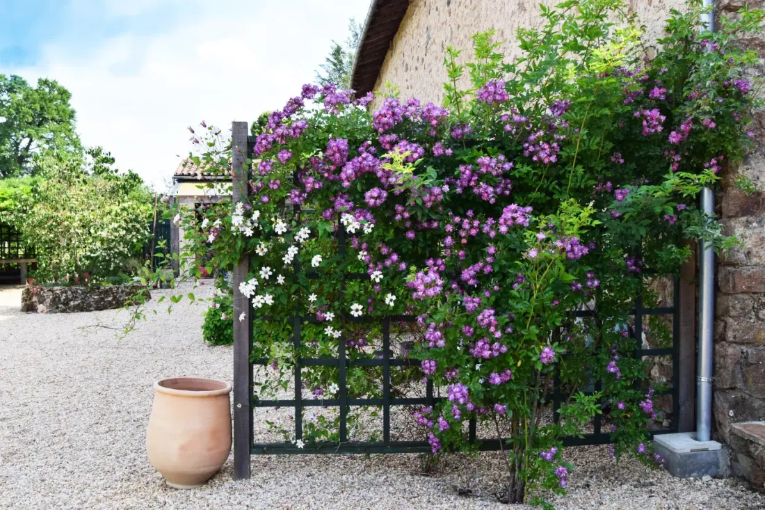 Gîte de France Artbarn 4 oren