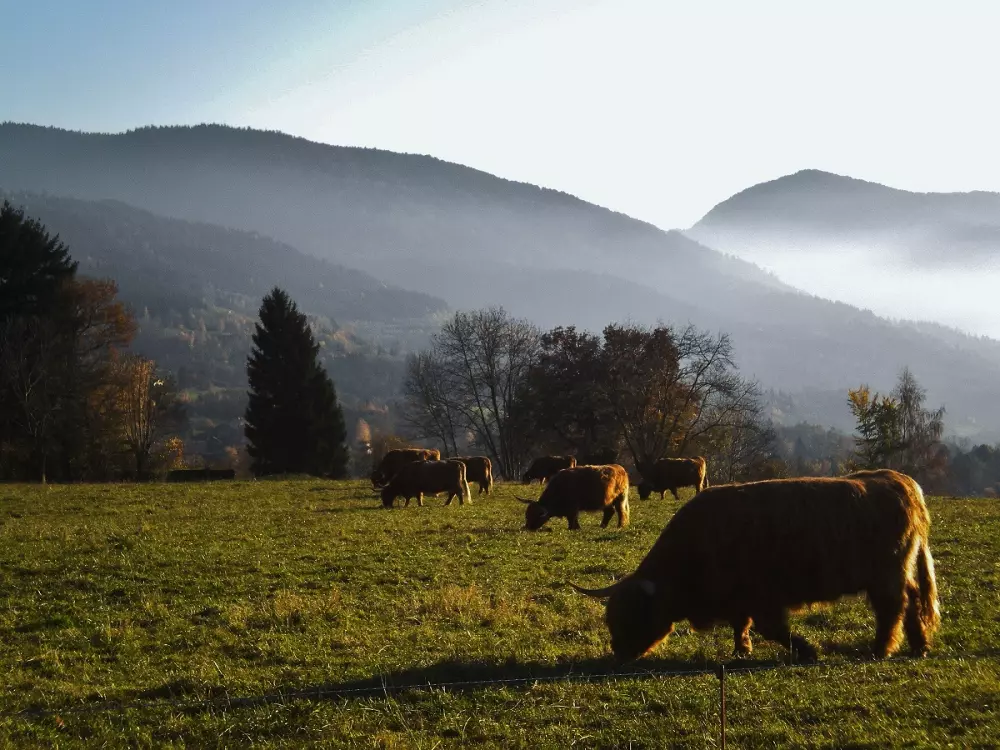 Residence Les Villages du Bachat