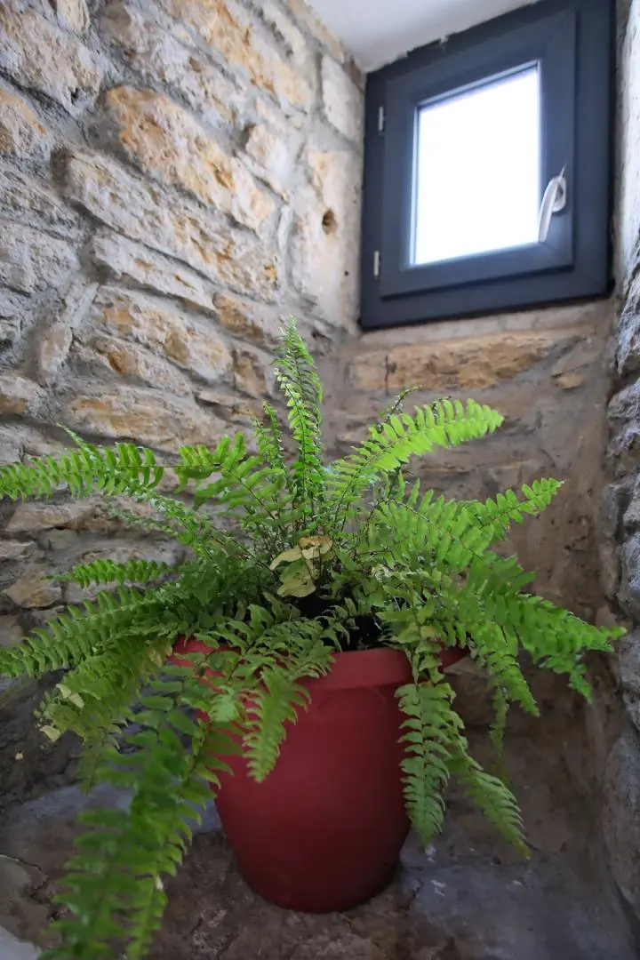 Gîte de France La lauze de marijoulet 2/4 Personen 3 Ähren
