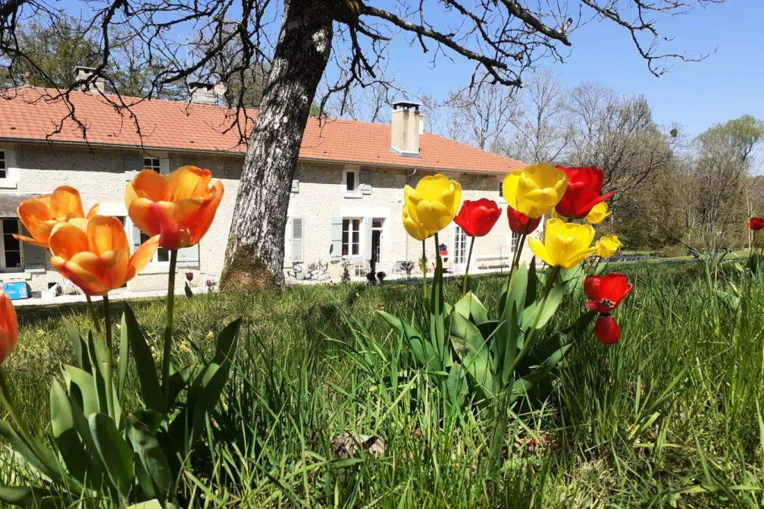 Gîte de France Die 4 Ohren Herd
