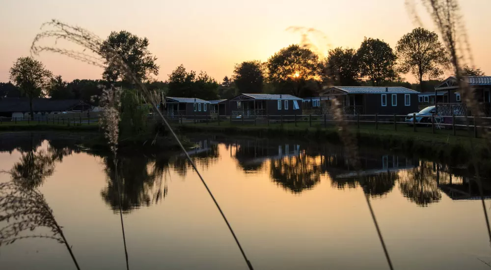 Camping Domaine du Logis