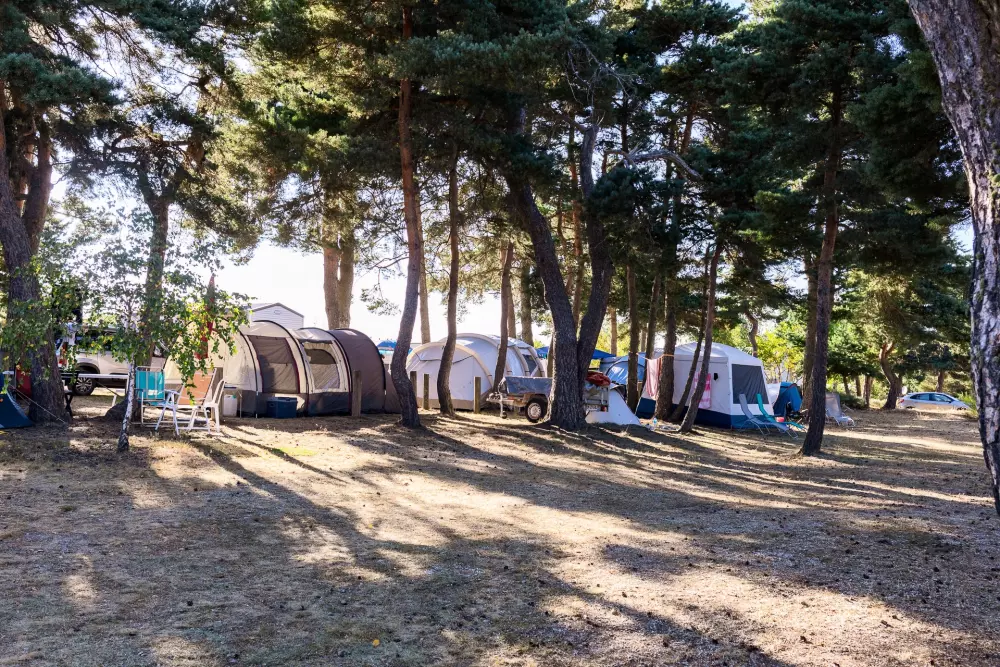 Campingplads Les Sous Bois du Lac