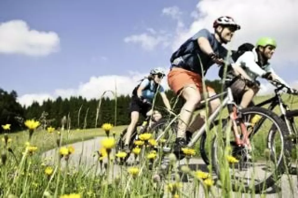 Campingplads Les Sous Bois du Lac