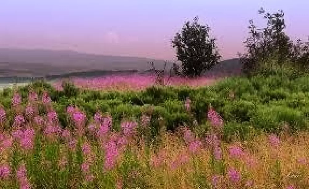 Campingplads Les Sous Bois du Lac