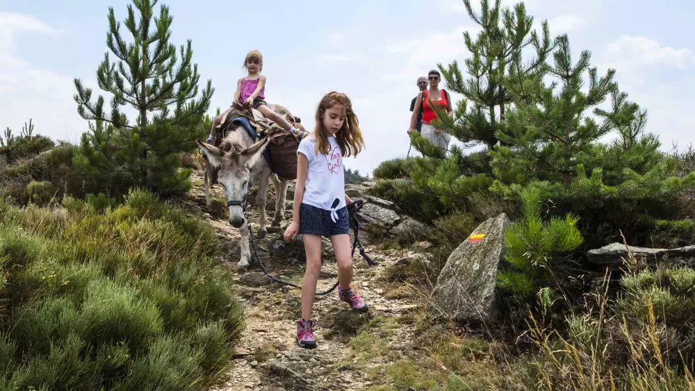 Campingplads Les Sous Bois du Lac