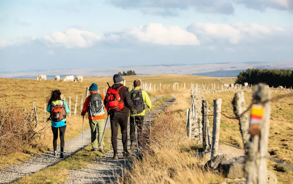 Campingplads Les Sous Bois du Lac