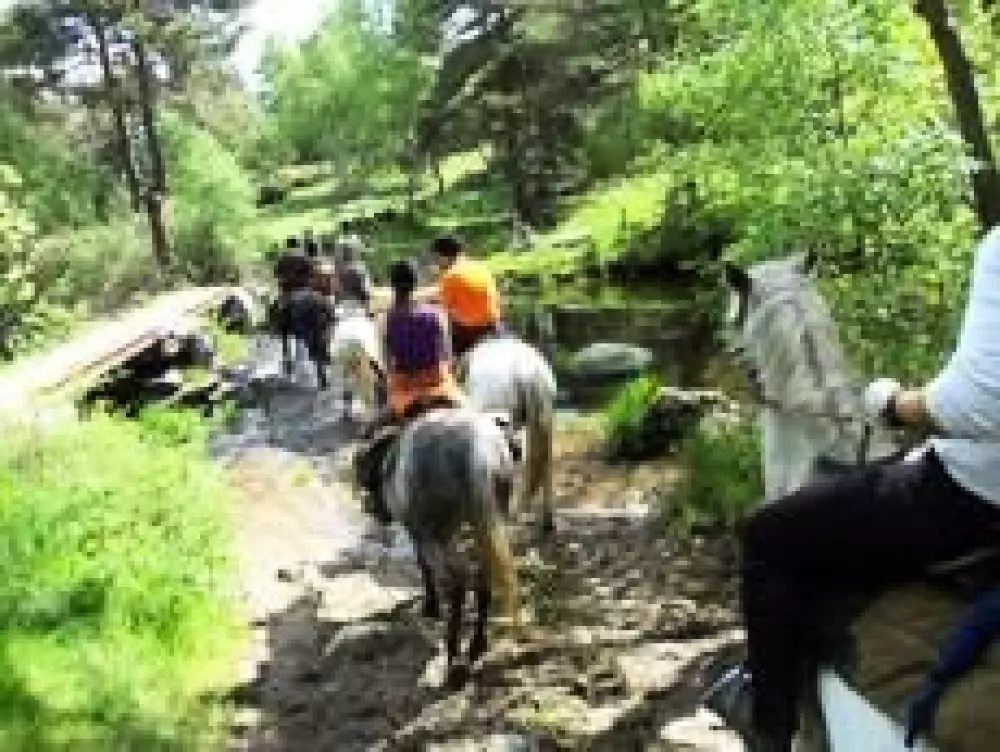 Campingplads Les Sous Bois du Lac