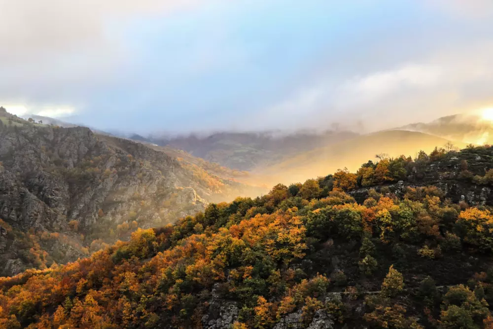 Campingplads Les Sous Bois du Lac