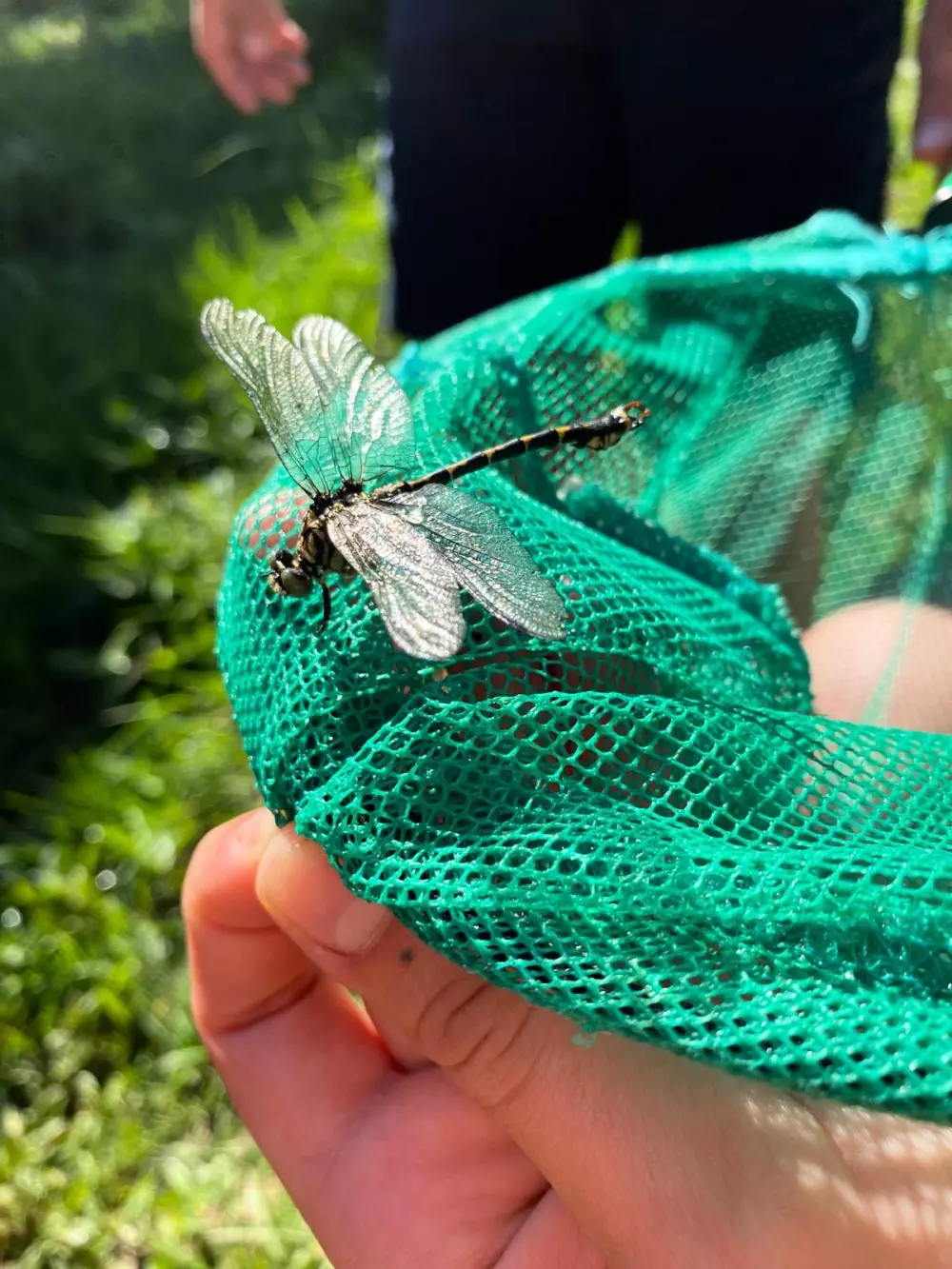 Campingplads Les Sous Bois du Lac