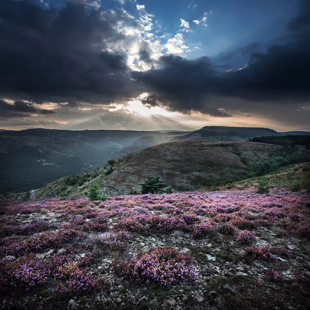 Campingplads Les Sous Bois du Lac