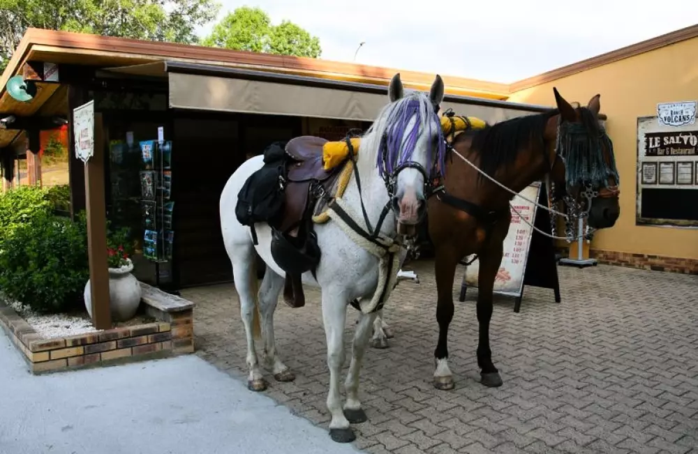 Camping Le Ranch des Volcans 4 Stars★★★★