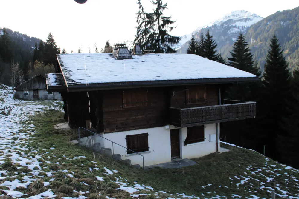 Apartments in Châtel
