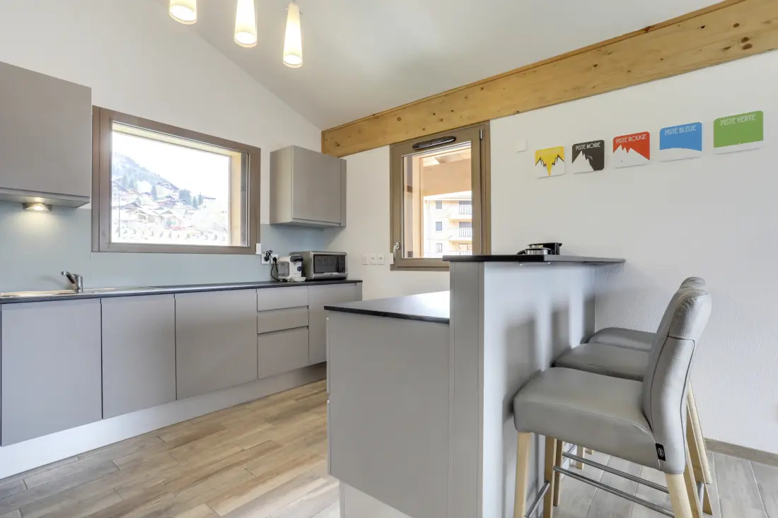 Appartements à Châtel