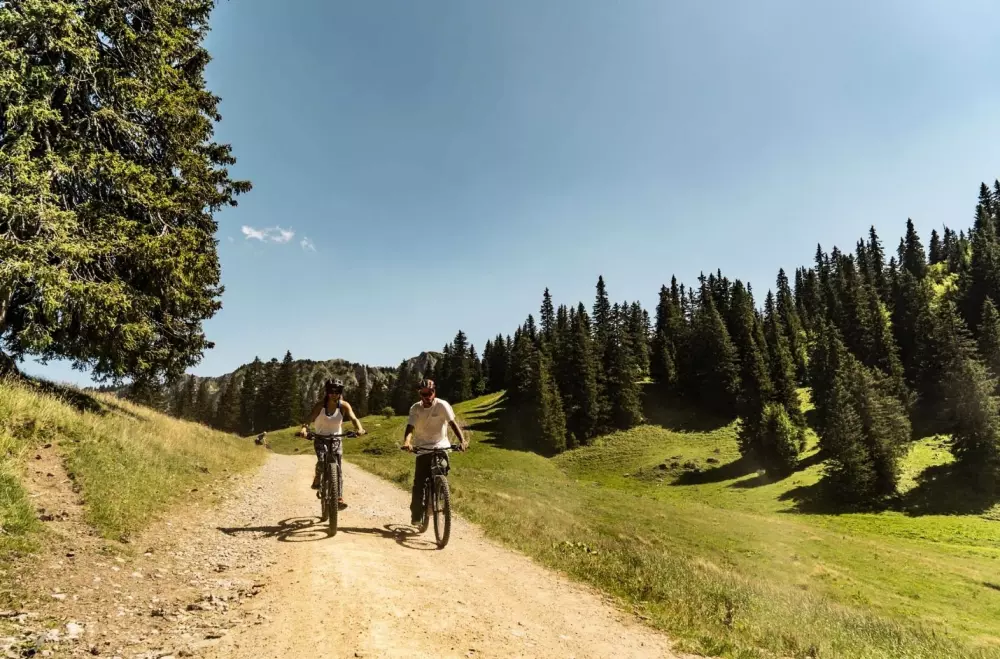 Appartementen in Châtel