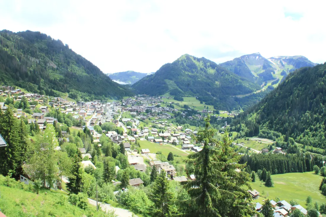 Apartments in Châtel